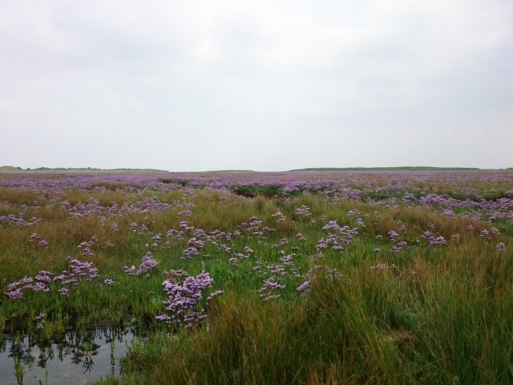 Wanderung an das Ostende zum Wrack