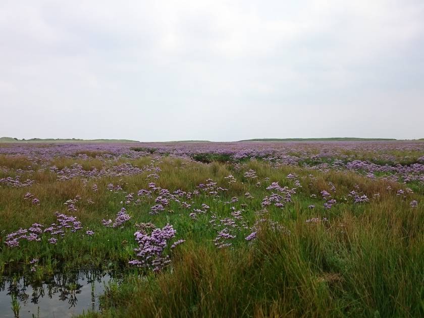 Wanderung an das Ostende zum Wrack