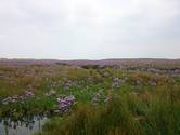 Wanderung an das Ostende zum Wrack