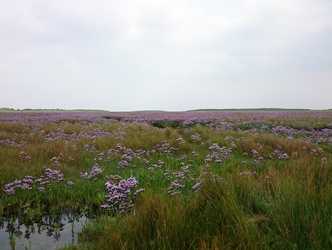 Wanderung an das Ostende zum Wrack