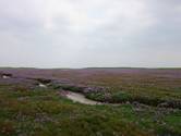 Wanderung an das Ostende zum Wrack