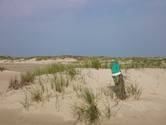 Wanderung an das Ostende zum Wrack